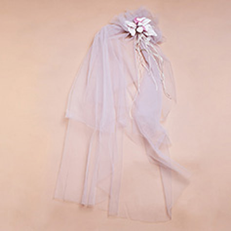 Veil 02